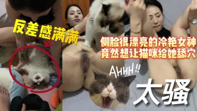 此片没有违规！反差十足的冷艳女神竟然打起猫咪主意【完整版看下遍简阶】