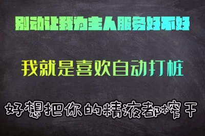 我喜欢自动打桩，让我全自动为你服务吧